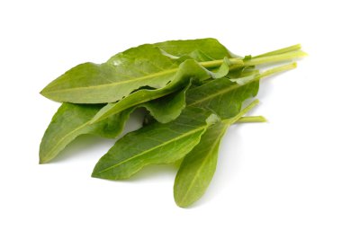 Rumex Confertus Green yaprakları. Beyaz arkaplanda izole.