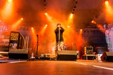 Kiel, Almanya - 21 Haziran 2016: The Red Hot Chilli Pepper cover Band 