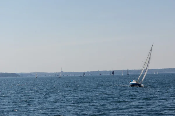 Flensburg Mai 2016 Impressionen Vom Zweiten Tag Der Flensburger Rumregatte — Stockfoto