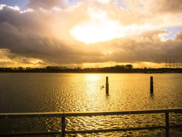 Sonnenuntergang Lübeck Travemünde Mit Einer Einsamen Möwe Und Dem Großen — Stockfoto