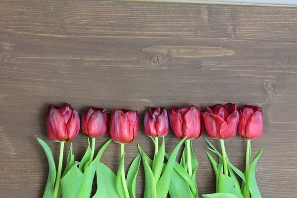 Bouquet of red tulips — Stock Photo, Image