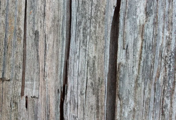 Bardzo stare drewniane tła, tekstura, — Zdjęcie stockowe