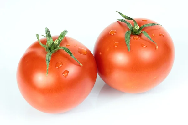 Tomate — Foto de Stock