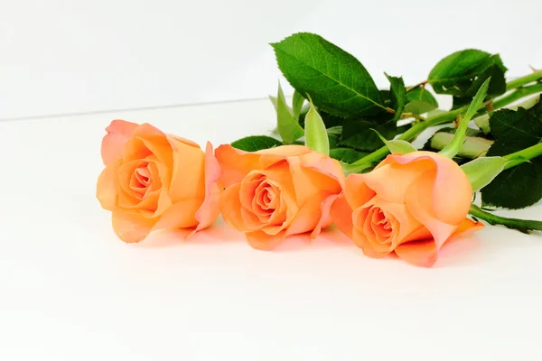 Orange rose, tea roses — Stock Photo, Image