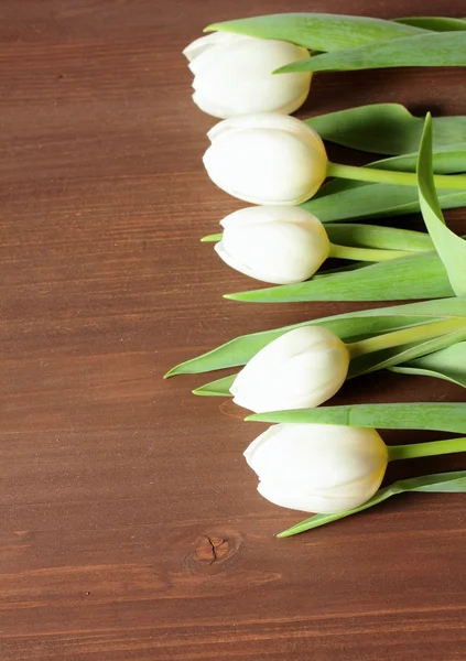 White tulips on wooden background — Stock Photo, Image