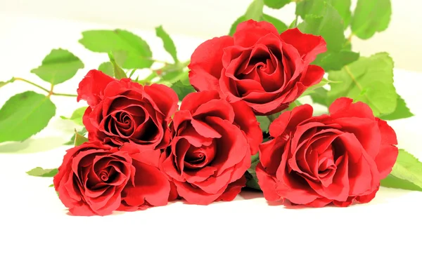 Red roses whit card — Stock Photo, Image