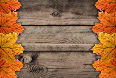 güzü ahşap arka plan akçaağaç yaprakları ile