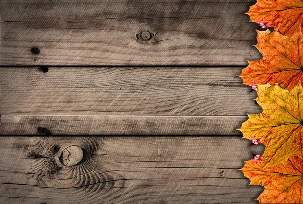 Jesieni drewniane tła z liści klonu — Zdjęcie stockowe
