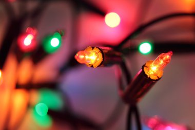 Noel ışıkları multicolors