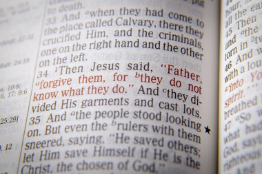 Baba, onlar ne yaptıklarını bilmedikleri için onları affet,