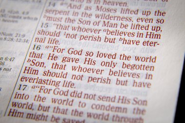 Bible text -  God so loved the world - John 3:16 clipart