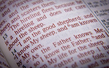 Bible text - I am the good shepherd - John 10:14 clipart
