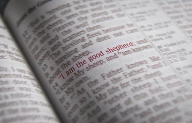 İncil metin - ben iyi çobanım - John 10:14