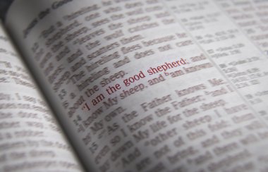 Bible text - I am the good shepherd - John 10:14 clipart