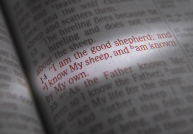 İncil metin - ben iyi çobanım - John 10:14