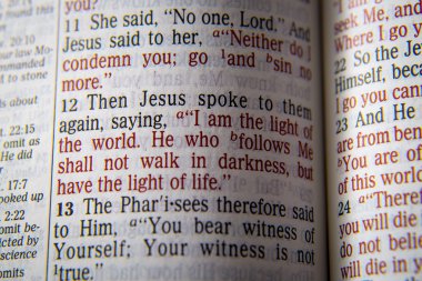 Bible text - I AM THE LIGHT OF THE WORLD - John 8:12 clipart