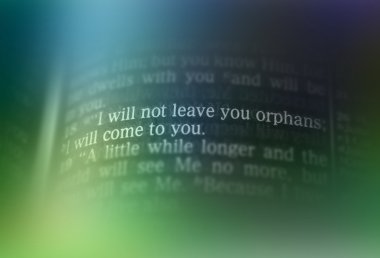 Bible text - I WILL NOT LEAVE YOU ORPHANS clipart