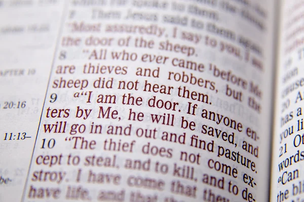 Tekst Biblii - ja jestem Door - Jan 10:9 — Zdjęcie stockowe