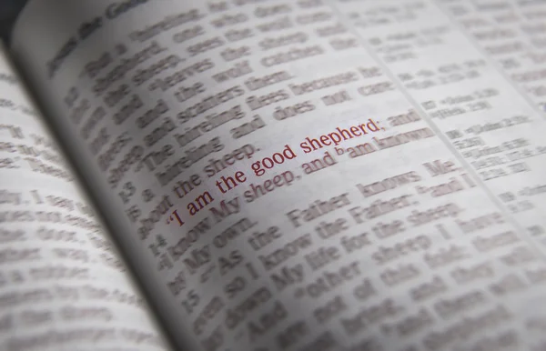 Bible text - já jsem dobrý pastýř - John 10:14 — Stock fotografie