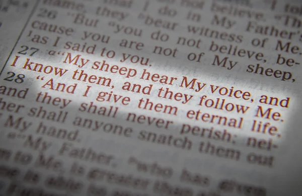 İncil metin - ben iyi çobanım - John 10:14