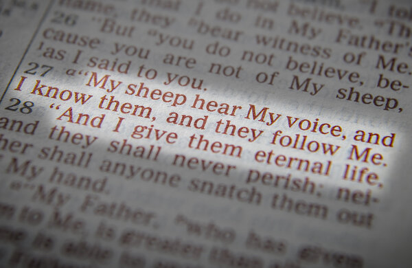 Библейский текст - Я добрый пастырь - Иоанна 10: 14
