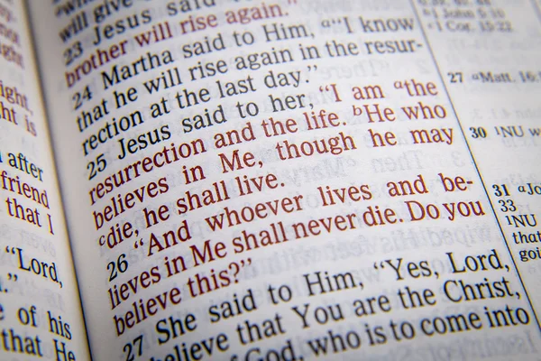 Bible text - I AM THE RESURRECTION AND THE LIFE — Stock Photo, Image