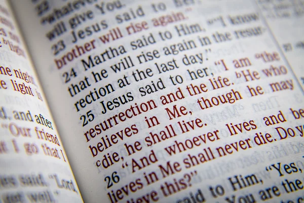 Bible text - I AM THE RESURRECTION AND THE LIFE — Stock Photo, Image
