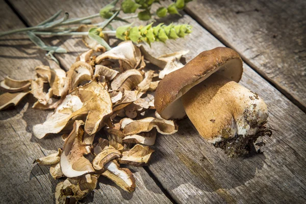 Boletus Edilus svampar på ett träbord - färska och torkade — Stockfoto