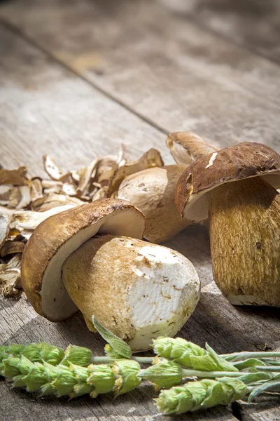 Boletus Edilus svampar på ett träbord - färska och torkade — Stockfoto