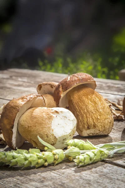 Borowik Edilus grzyby na drewnianym stole - świeże i suszone — Zdjęcie stockowe