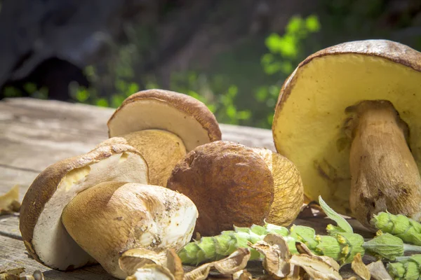 Boletus Edilus las setas sobre la mesa de madera - fresco y seco —  Fotos de Stock