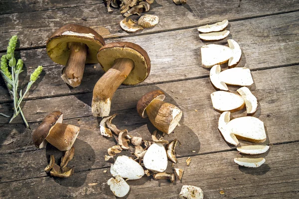 Boletus Edilus svampar på ett träbord - färska torkade och — Stockfoto