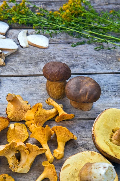 Boletus Edilus cogumelos em uma mesa de madeira - fresco secado e — Fotografia de Stock