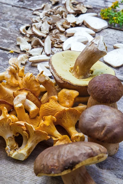 Cogumelos Chanterelle e Boletus Edilus frescos — Fotografia de Stock