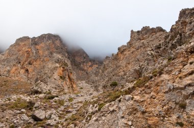 Kourtaliotiko Gorge. Yunanistan Crete.