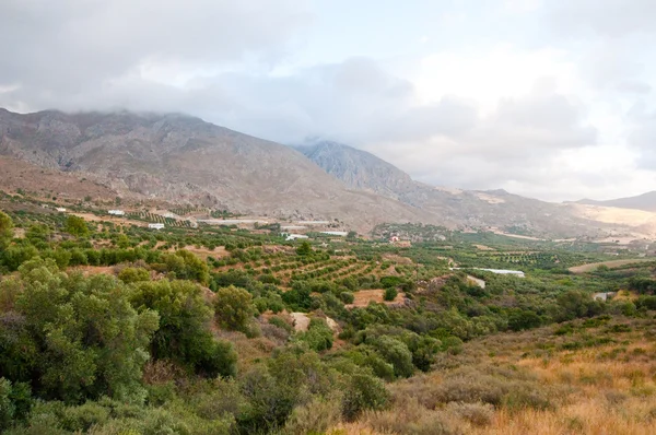 The Kourtaliotiko Gorge — Stock Photo, Image