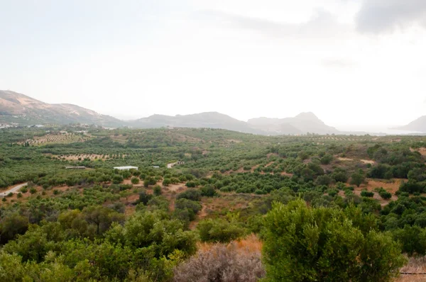 Paysage crétien dans la gorge de Kourtaliotiko. Grèce . — Photo