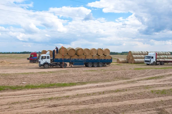 Exploitations agricoles sur le terrain à l'automne . — Photo