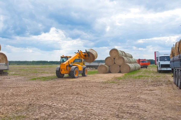 Exploitations agricoles sur le terrain . — Photo