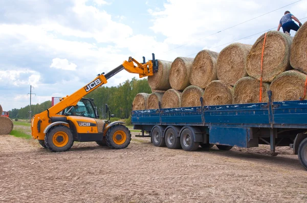 RUSSIE, BRYANSK-6 SEPTEMBRE : Exploitation agricole avec les machines agricoles le 6 septembre 2014 dans l'oblast de Bryansk, Russie . — Photo