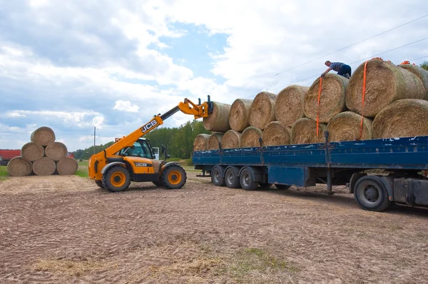 RUSSIE, BRYANSK-6 SEPTEMBRE : La main-d'œuvre agricole et les machines agricoles le 6 septembre 2014 dans l'oblast de Bryansk, Russie . — Photo