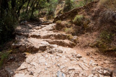 Psychro Mağarası'na giden yol. Crete, Yunanistan.