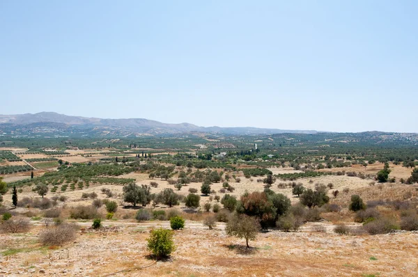 Cretan landscape with olive trees. Greece. — Stok fotoğraf