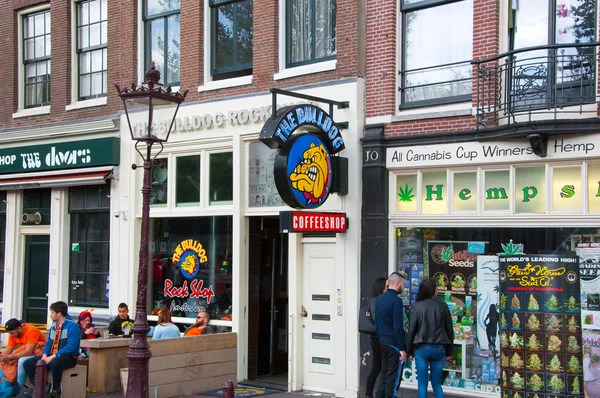 Amsterdam, Holandia: The Bulldog coffeeshop w Amsterdamie, w centrum miasta kwietnia 27,2015, Holandia. — Zdjęcie stockowe