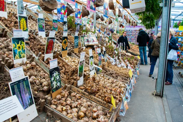 De kleine shop biedt verschillende soorten bollen op de bloemenmarkt van Amsterdam. — Stockfoto