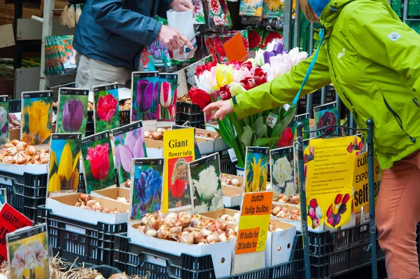 Tienda vende muchos bulbos de plantas de interior en el mercado de flores de Amsterdam . Imagen de stock