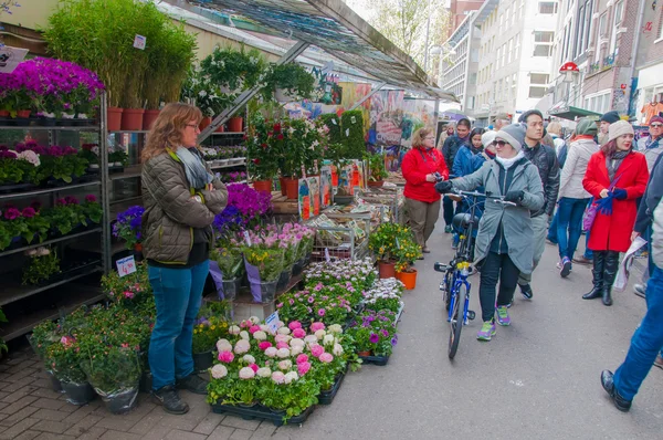 Las tiendas dentro de una fila de barcazas flotantes ofrecen bulbos y plantas de interior en el mercado de flores de Ámsterdam . Fotos de stock libres de derechos