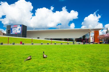 Sloped Lawn across the Museumplein with couple of ducks, the Netherlands. clipart