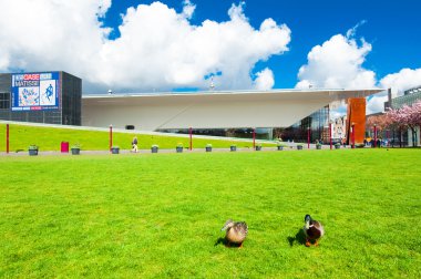 Stedelijk Müzesi ile Müzesi meydanında ördekler arka planda birkaç.