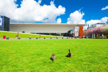 Amsterdam-Nisan 30: Çift ördek Nisan'da Müzesi meydanında 30,2015, Hollanda.